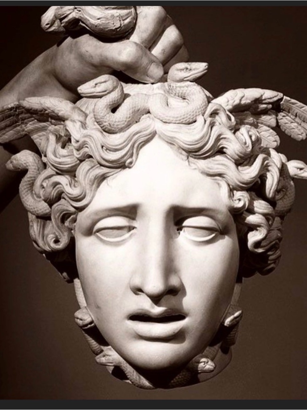 The Met “Perseus with the Head of Medusa” T-Shirt - Picture 3 of 8